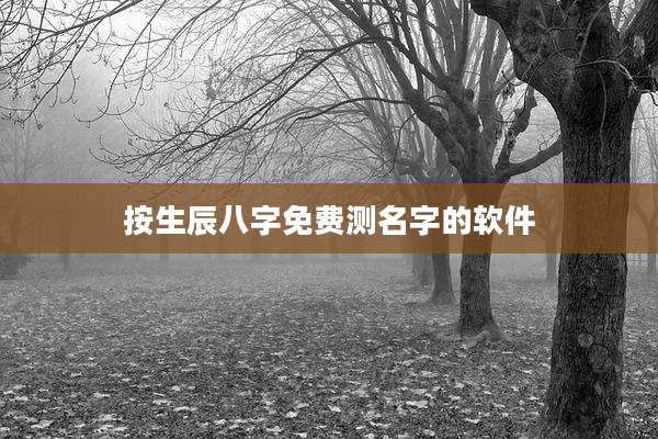 按生辰八字免费测名字的软件