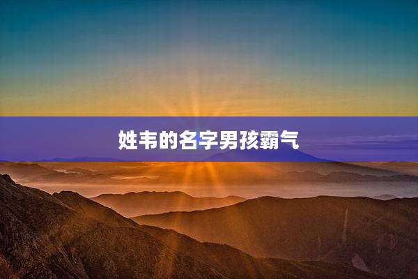 姓韦的名字男孩霸气