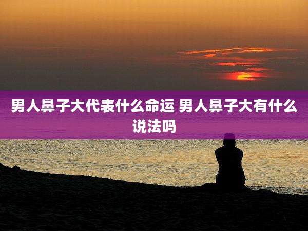 男人鼻子大代表什么命运 男人鼻子大有什么说法吗