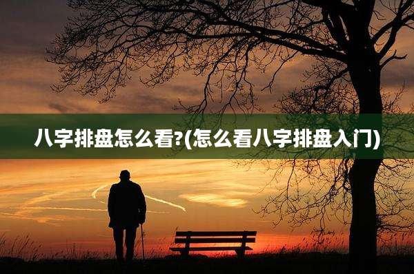 八字排盘怎么看?(怎么看八字排盘入门)