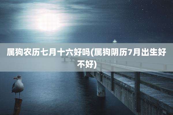 属狗农历七月十六好吗(属狗阴历7月出生好不好)