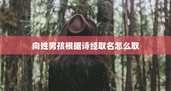 向姓男孩根据诗经取名怎么取