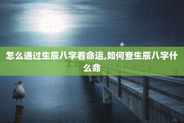 怎么通过生辰八字看命运,如何查生辰八字什么命