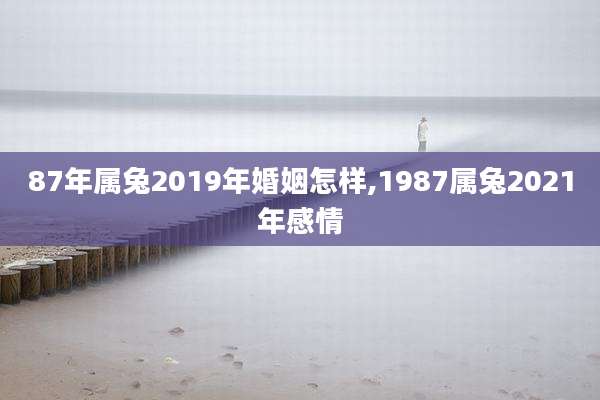 87年属兔2019年婚姻怎样,1987属兔2021年感情