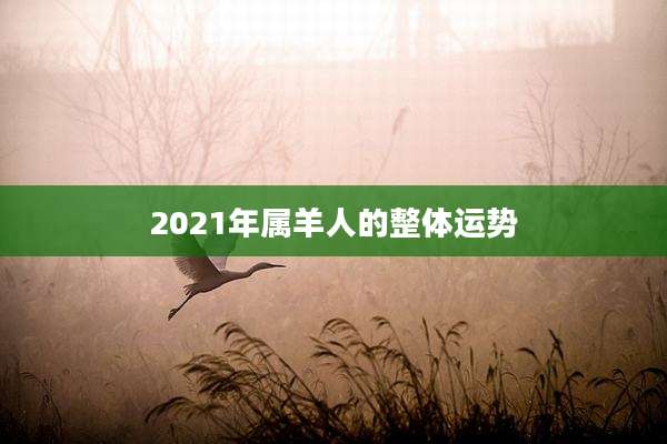 2021年属羊人的整体运势
