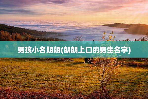 男孩小名朗朗(朗朗上口的男生名字)