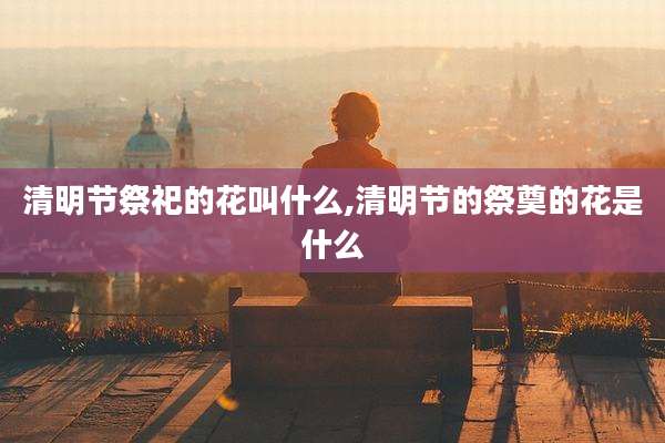 清明节祭祀的花叫什么,清明节的祭奠的花是什么