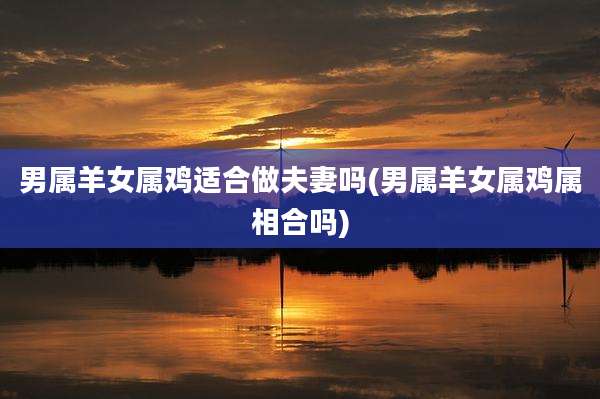 男属羊女属鸡适合做夫妻吗(男属羊女属鸡属相合吗)