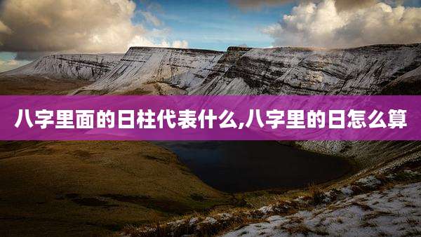 八字里面的日柱代表什么,八字里的日怎么算