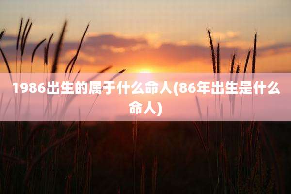 1986出生的属于什么命人(86年出生是什么命人)