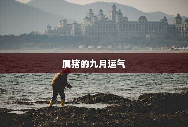 属猪的九月运气