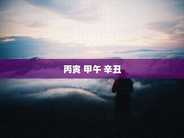 丙寅 甲午 辛丑