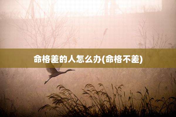 命格差的人怎么办(命格不差)