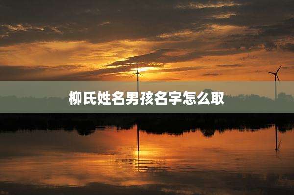 柳氏姓名男孩名字怎么取