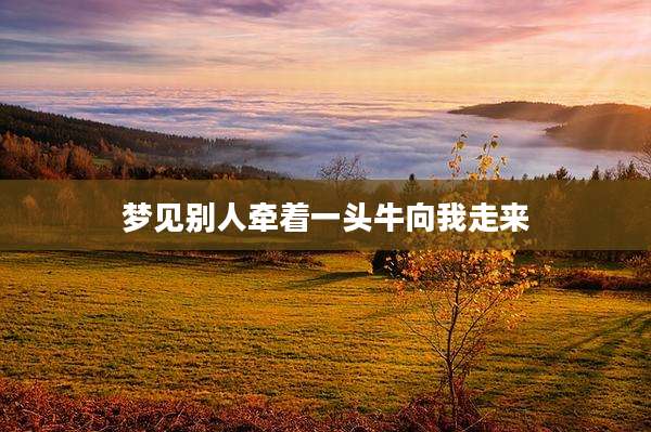 梦见别人牵着一头牛向我走来