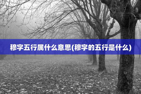 穆字五行属什么意思(穆字的五行是什么)
