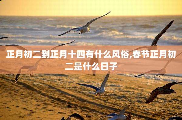 正月初二到正月十四有什么风俗,春节正月初二是什么日子