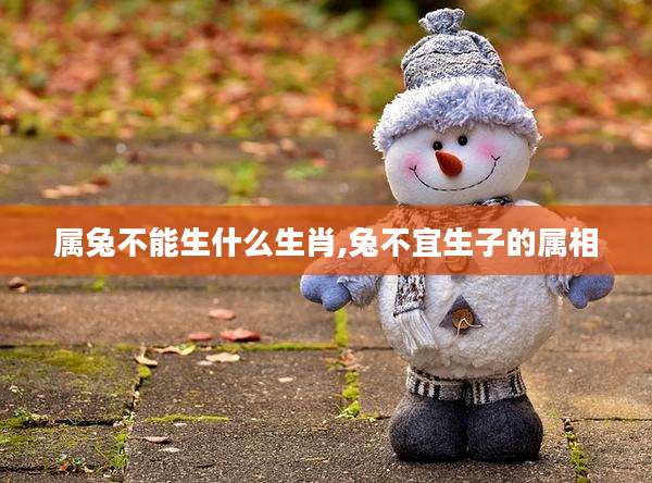 属兔不能生什么生肖,兔不宜生子的属相