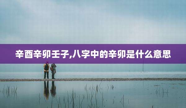 辛酉辛卯壬子,八字中的辛卯是什么意思