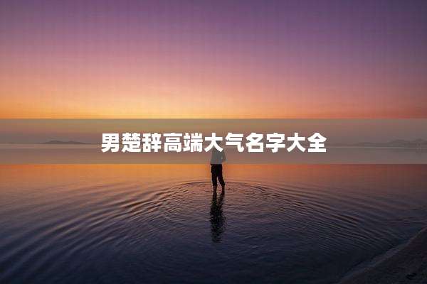 男楚辞高端大气名字大全