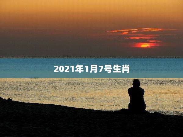 2021年1月7号生肖