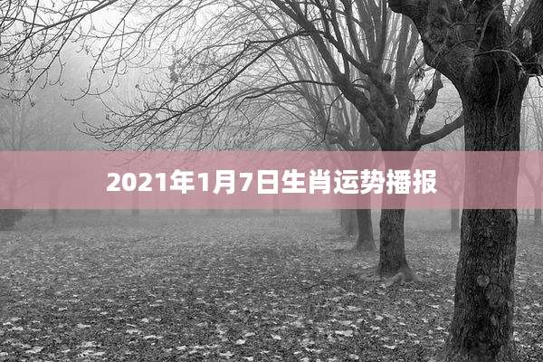 2021年1月7日生肖运势播报