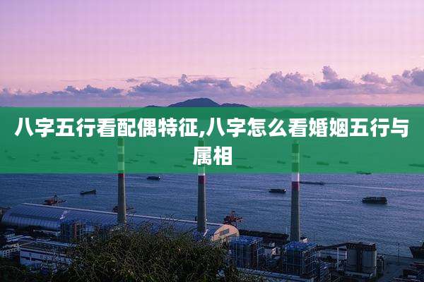 八字五行看配偶特征,八字怎么看婚姻五行与属相