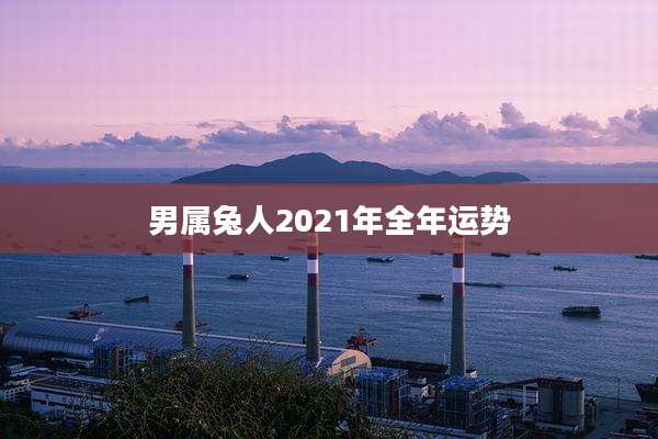 男属兔人2021年全年运势