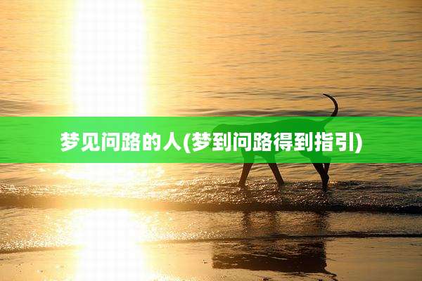 梦见问路的人(梦到问路得到指引)