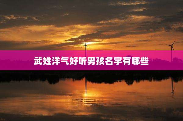 武姓洋气好听男孩名字有哪些
