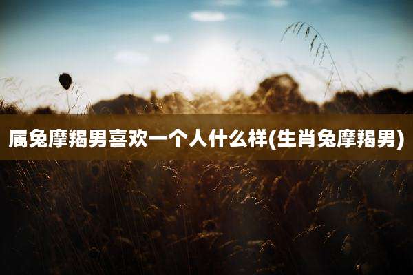 属兔摩羯男喜欢一个人什么样(生肖兔摩羯男)