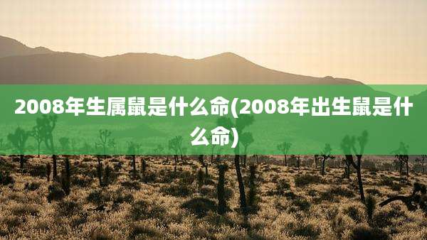 2008年生属鼠是什么命(2008年出生鼠是什么命)