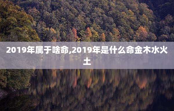2019年属于啥命,2019年是什么命金木水火土