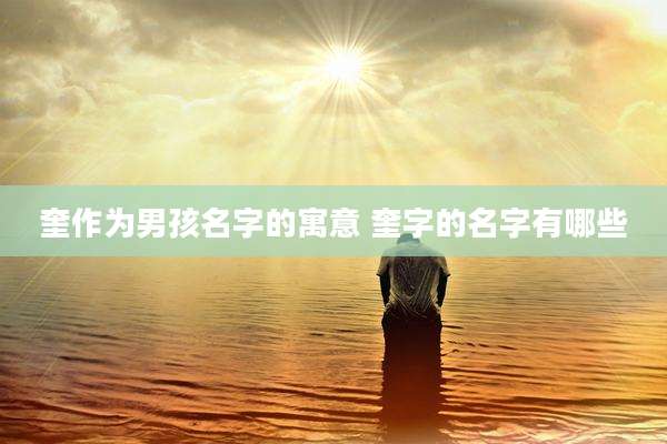 奎作为男孩名字的寓意 奎字的名字有哪些