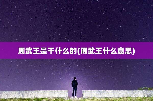 周武王是干什么的(周武王什么意思)