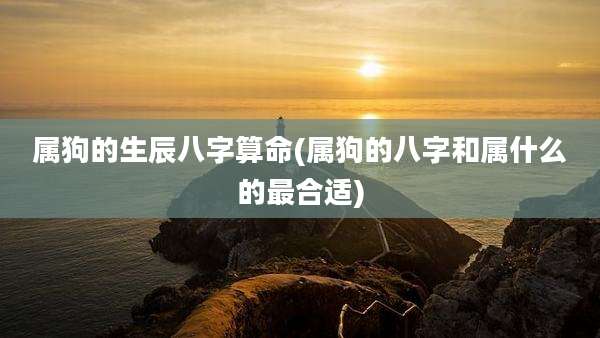 属狗的生辰八字算命(属狗的八字和属什么的最合适)