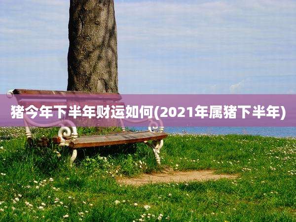 猪今年下半年财运如何(2021年属猪下半年)