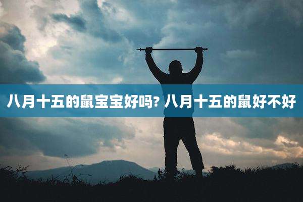 八月十五的鼠宝宝好吗? 八月十五的鼠好不好