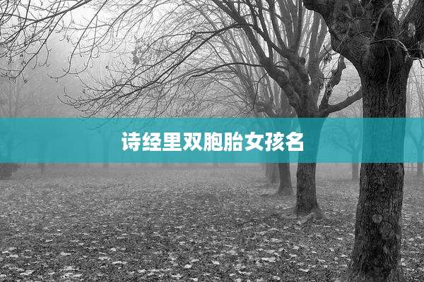 诗经里双胞胎女孩名