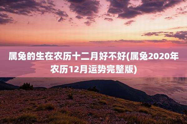 属兔的生在农历十二月好不好(属兔2020年农历12月运势完整版)