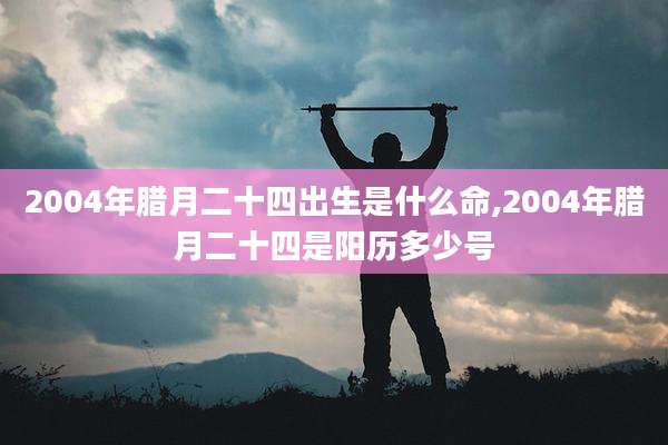 2004年腊月二十四出生是什么命,2004年腊月二十四是阳历多少号