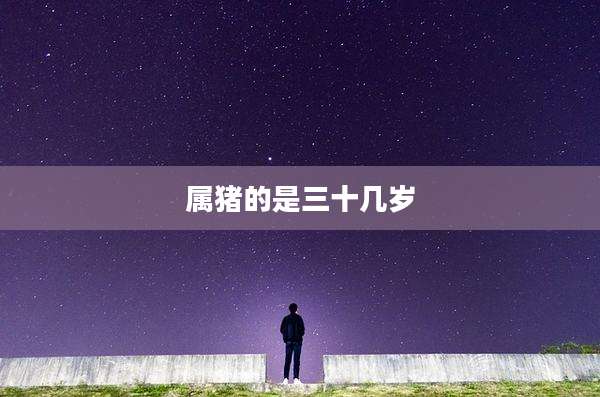 属猪的是三十几岁