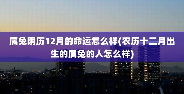 属兔阴历12月的命运怎么样(农历十二月出生的属兔的人怎么样)
