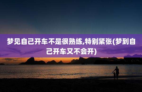 梦见自己开车不是很熟练,特别紧张(梦到自己开车又不会开)