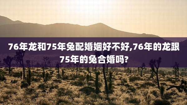 76年龙和75年兔配婚姻好不好,76年的龙跟75年的兔合婚吗?