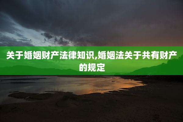 关于婚姻财产法律知识,婚姻法关于共有财产的规定
