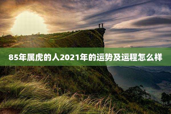 85年属虎的人2021年的运势及运程怎么样