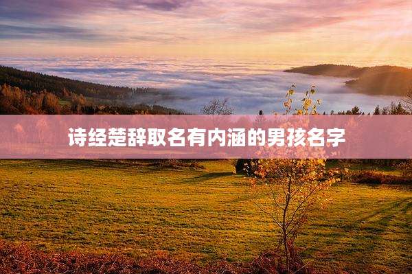 诗经楚辞取名有内涵的男孩名字