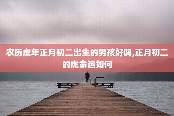 农历虎年正月初二出生的男孩好吗,正月初二的虎命运如何