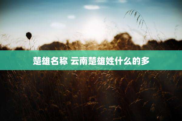 楚雄名称 云南楚雄姓什么的多